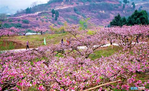 饿金命的人命运如何_好不好?,第5张 饿金命的人命运如何_好不好?,第5张